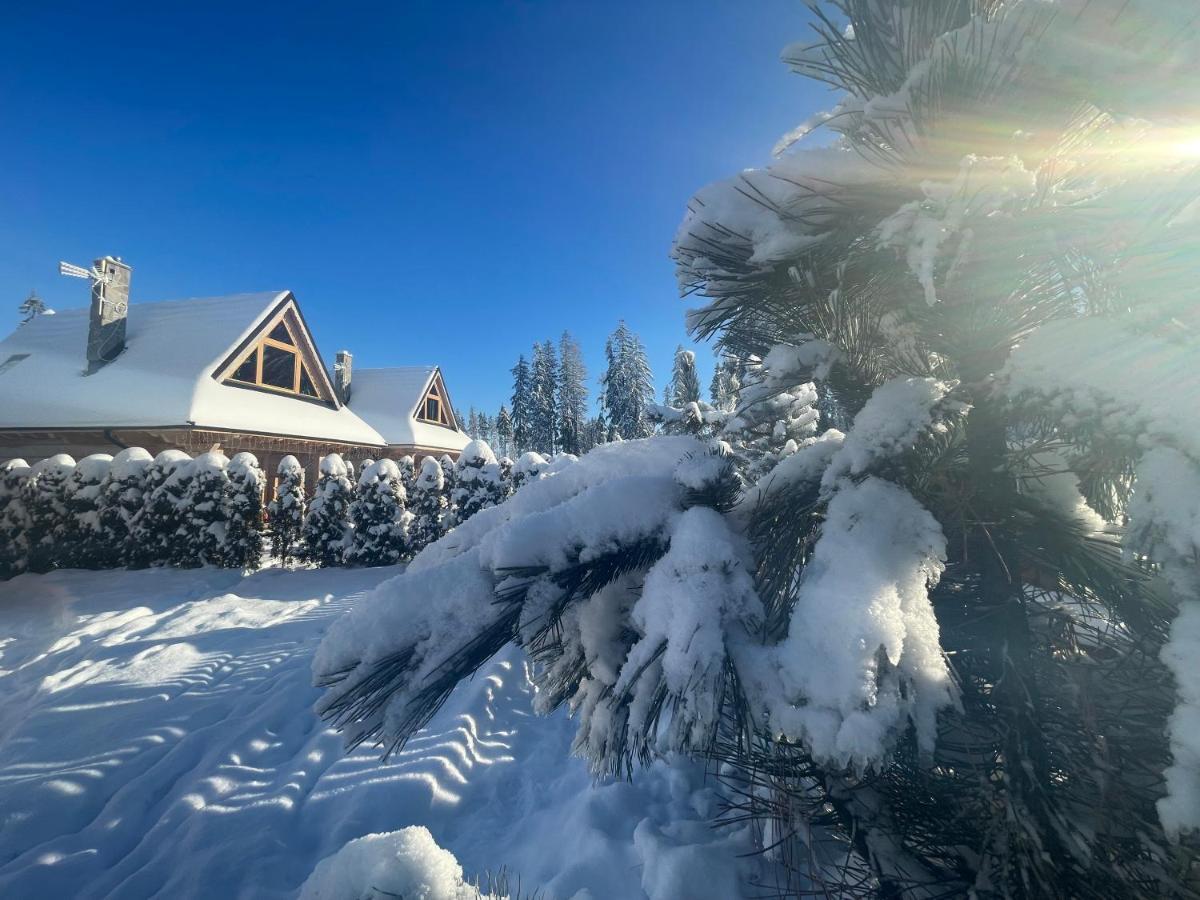 Osada Podrazowka Villa Zakopane Eksteriør bilde